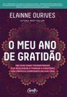 Livro O Meu Ano de Gratidão Elainne Ourives