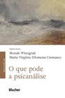 Livro - O que Pode a Psicanálise - Winograd