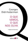 Livro - O que vemos, o que nos olha