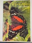 Livro - O vôo da borboleta - 104 pg - Bridda editora