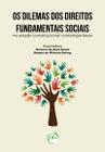 Livro - Os dilemas dos direitos fundamentais sociais no estado constitucional contemporâneo