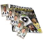 Livro Pôster Ilustrado Campeonato Brasileiro 2024 Botafogo Campeao Em Figurinhas