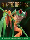 Livro - Red-eyed tree frog, the