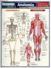 Livro - Resumão Escolar Anatomia: Sistemas do Corpo Humano Ensino Fundamental - BARROS FISCHER & ASSOCIADOS