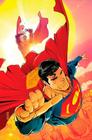 Livro - Superman 13/90