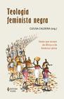 Livro - Teologia feminista negra