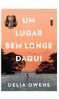 Livro - Um lugar bem longe daqui