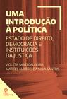 Livro - Uma introdução à política: