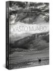 Livro - Vasto mundo (Capa Dura)