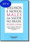 Livro - Velhos e novos males da saúde no Brasil: De Geisel a Dilma