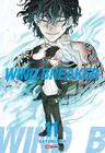 Livro - Wind Breaker 11