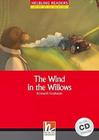 Livro - Wind in the willows