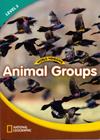 Livro - World Windows 3 - Animal Groups