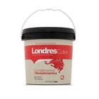 Londres color selador acrilico 3,6 l