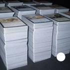 Lote cartas Magic the Gathering 500 cartas comuns Bulk MTG Cartas comuns de Magic The Gathering - Wizards