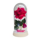 Luminária A Rosa Encantada Pink 20 Cm Base Pérola Frio - Amor Lindo