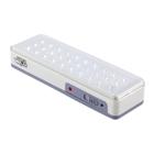 Luminária Luz de Emergência com 30 Leds Forceline 587