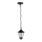 Lustre Pendente Taschibra Colonial TLF 28 E27 Bivolt