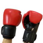 Luva Boxe Vollo Training Red Tam 10 Oz