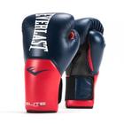 Luva De Boxe E Muay Thai Pro Style Elite V2 14OZ Everlast