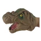 Luva Fantoche Cabeça De Dinossauro Mod.2 ZP00773 - Zoop Toys