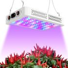 Luz LED Grow Light TATU 1000W de espectro completo para plantas de interior