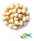 Macadamia torrada Com Sal Novinha e Crocante 500g - 1/2 kg