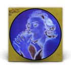 Madonna - Erotica VinIl Single 12" - Picture Disc - 30th Anniversary LP Vinil