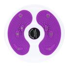 Magnet Twisting Disk Exercício Home Fitness (Roxo) - HTTN