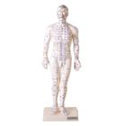 Manequim Para Acupuntura Masculino 50 Cm - Anatomic