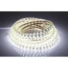 Mangueira Led BRANCO FRIO 5050 Chata 5.0W/5. 35W/m. 20 metro, 110v ou 220v + Conector