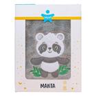 Manta Infantil Bebê Microfibra Soft Bordada Baby Joy Modelo:Panda