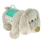 Manta Soft Fofy Baby Cachorrinho Guta Guti - Dm Toys