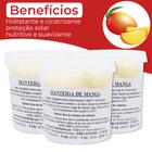 Manteiga de Manga 500gr Hidratante Condicionador Anti-Rugas Proteção Solar