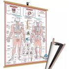 Mapa Corpo Humano Esquelético I - Banner Para Pendurar Enviado em Tubo