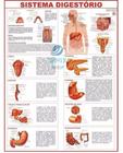 Mapa Corpo Humano Sistema Digestorio 120x90 Cm