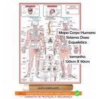 Mapa Do Corpo Humano Sistema Esqueletico I 120x90 Cm - Enrolado Em Tubo