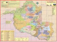 Mapa Estado Rondônia Político Escolar Poster Geográfico