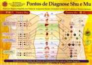 Mapa - Pontos de Diagnose Shu e Mu - Prof. Franco Joji Enomoto