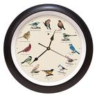 Mark Feldstein and Associates Original Singing Bird Wall Clock, 13 Inch (Preto) - Mark Feldstein & Associates