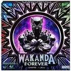 Marvel Wakanda Forever, Black Panther Dice-Rolling Game para Famílias, Adolescentes e Adultos