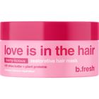 Máscara capilar B.TAN b.fresh Love is in the Hair Restorative