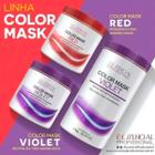 Máscara Matizador Color Mask Violet Platinum Blond 500g