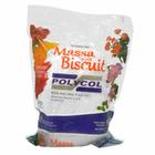 Massa Para Biscuit Branco - Polycol 1Kg