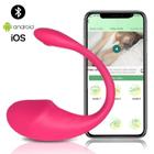 Massageador Com Controle Via Aplicativo App Feminino 10 modos