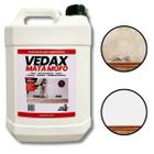 Mata Mofo Vedax 5L Antimofo Guarda Roupa Parede Banheiro Anti Bolor Armário Madeira Rejunte