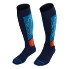 Meias Lançamento Original Troy Lee Modelo Gp Mx Coolmax Thick Sock Vox