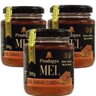 Mel Âmbar Claro 300g - Eleito o melhor mel do mundo Kit com 3 - Prodapys