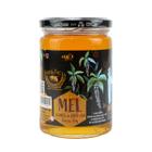 Mel Cipó Uva 450g - Dona Beia