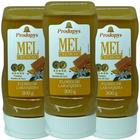 Mel Cremoso Flores de Laranjeira 300g Kit com 3 - Prodapys